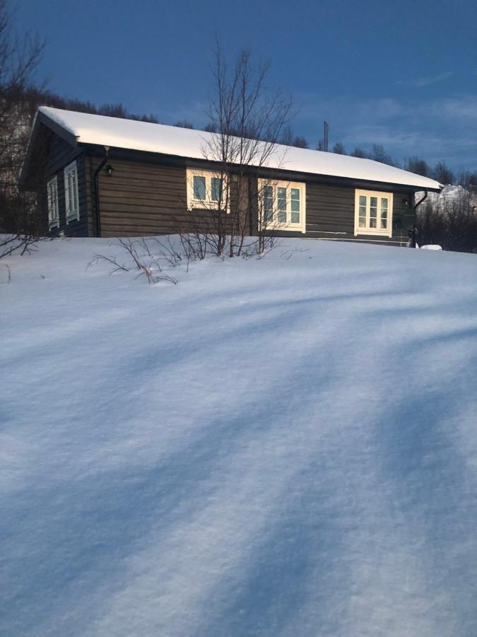 Cottage Lavkavann Finnmarksvidda Skoganvarre Extérieur photo